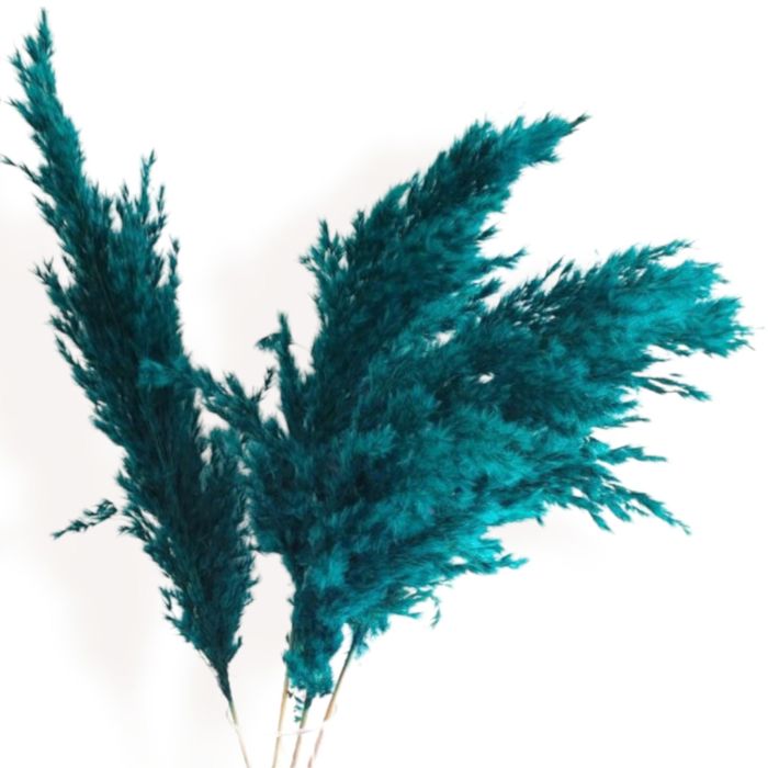 Decorative Dried Pampas Grass for Elegant Home Decoration and Floral Arrangements, 17 Inches