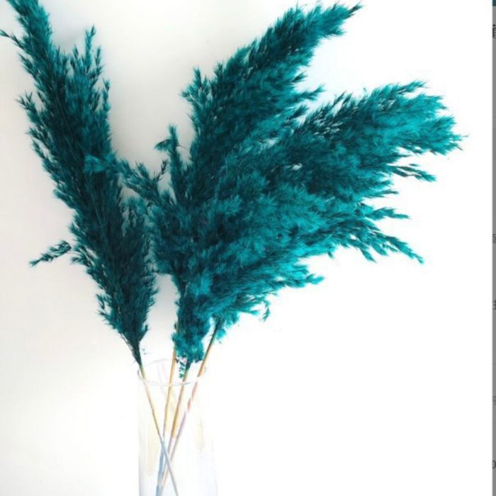 Decorative Dried Pampas Grass for Elegant Home Decoration and Floral Arrangements, 17 Inches