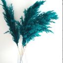 Green Decorative Dried Pampas Grass for Elegant Home Decoration and Floral Arrangements, 17 Inches