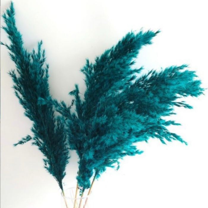 Decorative Dried Pampas Grass for Elegant Home Decoration and Floral Arrangements, 17 Inches