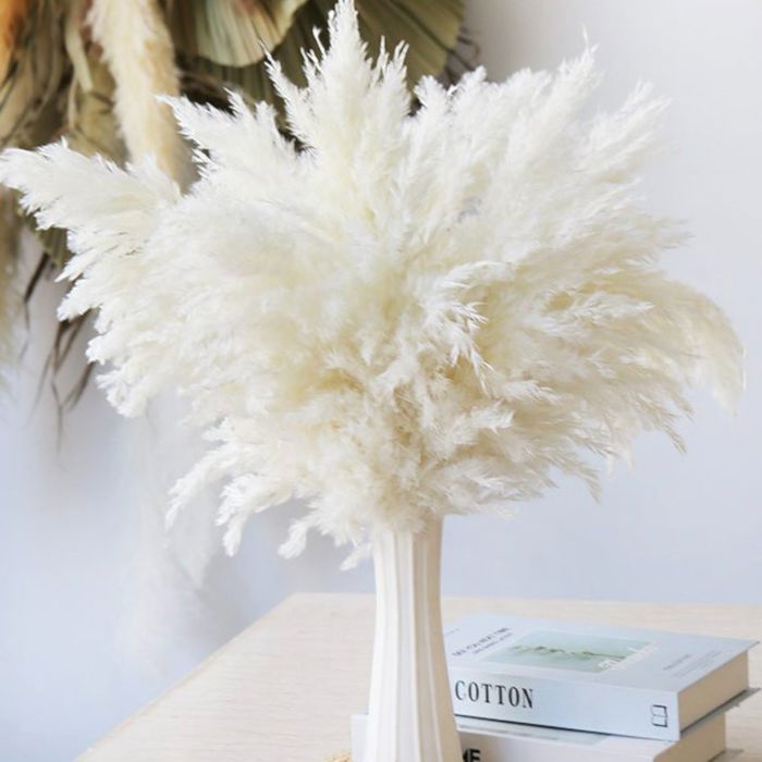 Decorative Dried Pampas Grass for Elegant Home Decoration and Floral Arrangements, 17 Inches