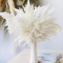 White Decorative Dried Pampas Grass for Elegant Home Decoration and Floral Arrangements, 17 Inches