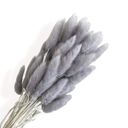 Gray Decorative Dried Leafy Branches for Modern Home Decoration and Floral Arrangements, 15.5 Inches