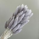 Gray Decorative Dried Leafy Branches for Modern Home Decoration and Floral Arrangements, 15.5 Inches