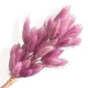 Pink Decorative Dried Leafy Branches for Modern Home Decoration and Floral Arrangements, 15.5 Inches