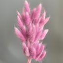 Pink Decorative Dried Leafy Branches for Modern Home Decoration and Floral Arrangements, 15.5 Inches