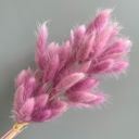 Pink Decorative Dried Leafy Branches for Modern Home Decoration and Floral Arrangements, 15.5 Inches