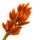 Orange Decorative Dried Leafy Branches for Modern Home Decoration and Floral Arrangements, 15.5 Inches