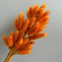 Orange Decorative Dried Leafy Branches for Modern Home Decoration and Floral Arrangements, 15.5 Inches