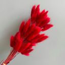 Red Decorative Dried Leafy Branches for Modern Home Decoration and Floral Arrangements, 15.5 Inches