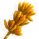 Yellow Decorative Dried Leafy Branches for Modern Home Decoration and Floral Arrangements, 15.5 Inches