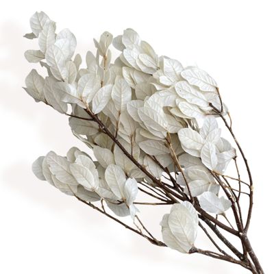 Decorative Dried Leafy Branches for Modern Home Decoration and Floral Arrangements, 15.5 Inches