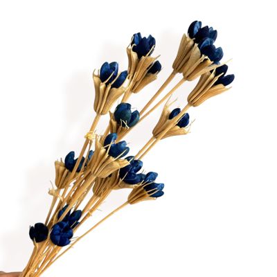 Decorative Dried Flower Stems for Home Decoration and Floral Arrangements, 15.5 Inches