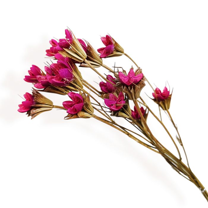 Decorative Dried Flower Stems for Home Decoration and Floral Arrangements, 15.5 Inches