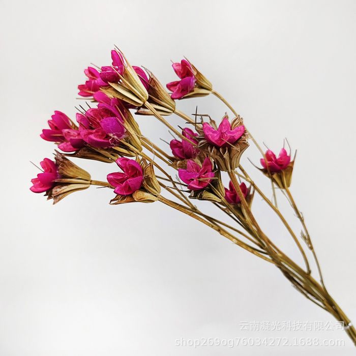 Decorative Dried Flower Stems for Home Decoration and Floral Arrangements, 15.5 Inches