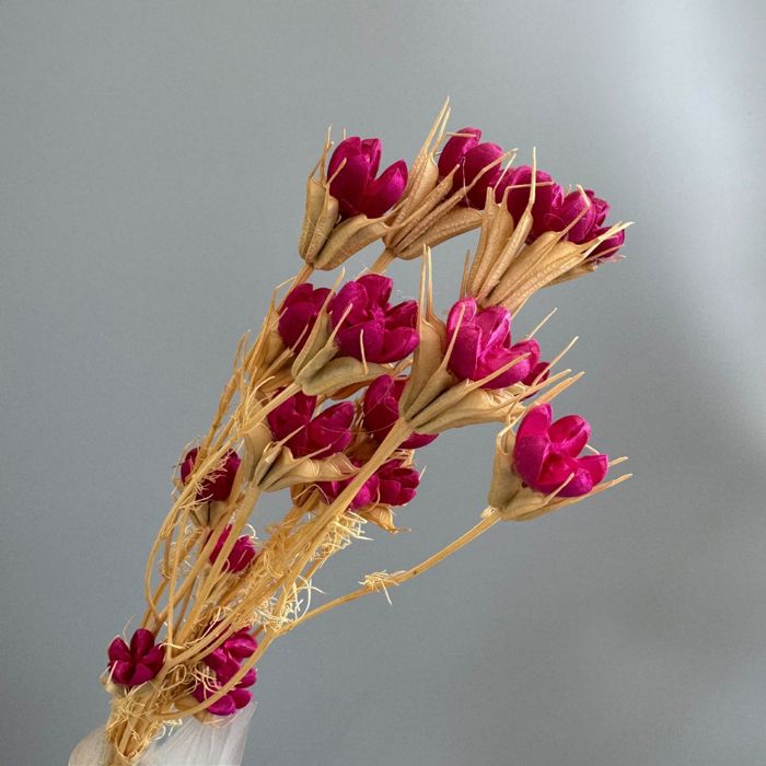 Decorative Dried Flower Stems for Home Decoration and Floral Arrangements, 15.5 Inches