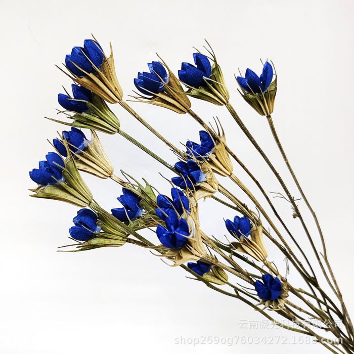 Decorative Dried Flower Stems for Home Decoration and Floral Arrangements, 15.5 Inches