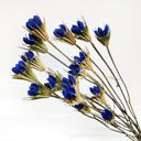 Blue Decorative Dried Flower Stems for Home Decoration and Floral Arrangements, 15.5 Inches