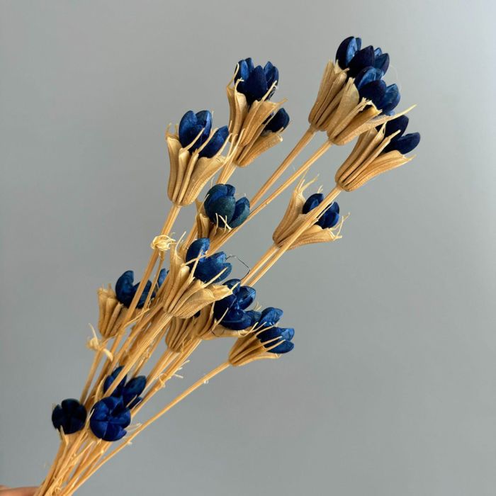 Decorative Dried Flower Stems for Home Decoration and Floral Arrangements, 15.5 Inches