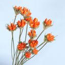 Orange Decorative Dried Flower Stems for Home Decoration and Floral Arrangements, 15.5 Inches