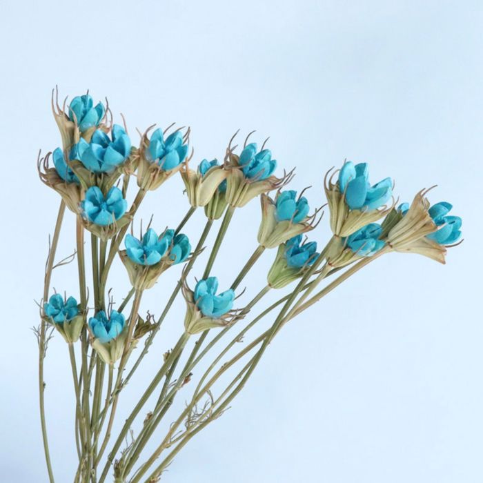 Decorative Dried Flower Stems for Home Decoration and Floral Arrangements, 15.5 Inches