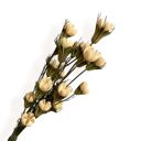 White Decorative Dried Flower Stems for Home Decoration and Floral Arrangements, 15.5 Inches