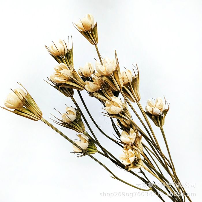 Decorative Dried Flower Stems for Home Decoration and Floral Arrangements, 15.5 Inches