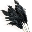 Black Decorative Dried Tall Grass Stems for Home Decoration and Floral Arrangements, 27.5 Inches