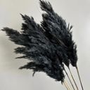 Black Decorative Dried Tall Grass Stems for Home Decoration and Floral Arrangements, 27.5 Inches