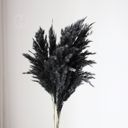 Black Decorative Dried Tall Grass Stems for Home Decoration and Floral Arrangements, 27.5 Inches