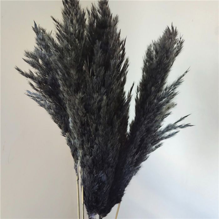 Decorative Dried Tall Grass Stems for Home Decoration and Floral Arrangements, 27.5 Inches