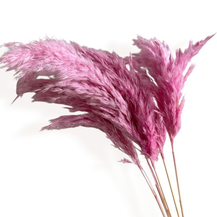 Decorative Dried Tall Grass Stems for Home Decoration and Floral Arrangements, 27.5 Inches