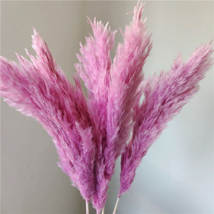 Decorative Dried Tall Grass Stems for Home Decoration and Floral Arrangements, 27.5 Inches