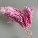 Pink Decorative Dried Tall Grass Stems for Home Decoration and Floral Arrangements, 27.5 Inches