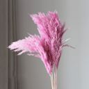 Pink Decorative Dried Tall Grass Stems for Home Decoration and Floral Arrangements, 27.5 Inches