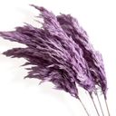 Purple Decorative Dried Tall Grass Stems for Home Decoration and Floral Arrangements, 27.5 Inches