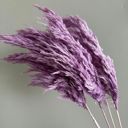 Purple Decorative Dried Tall Grass Stems for Home Decoration and Floral Arrangements, 27.5 Inches