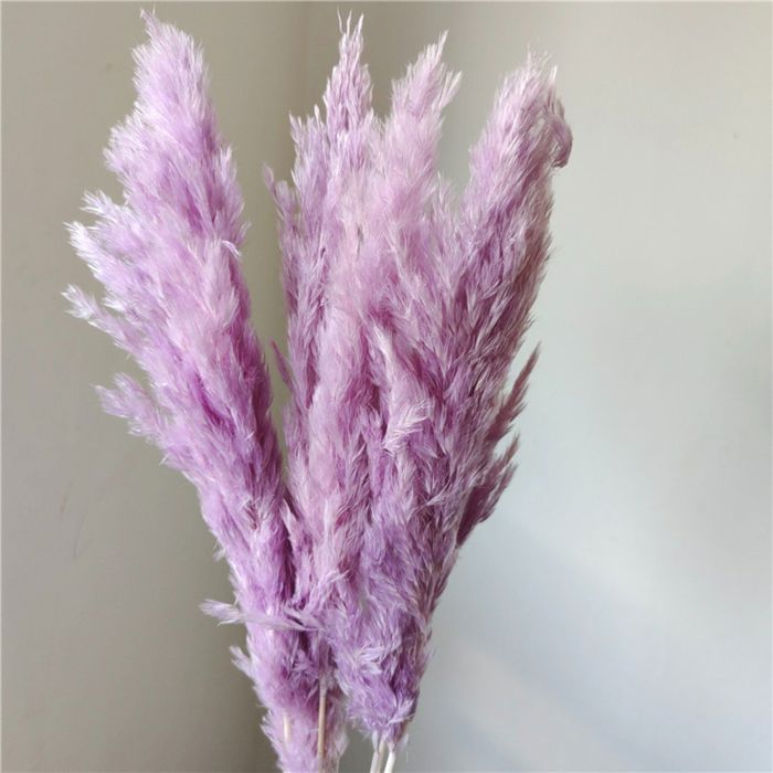 Decorative Dried Tall Grass Stems for Home Decoration and Floral Arrangements, 27.5 Inches