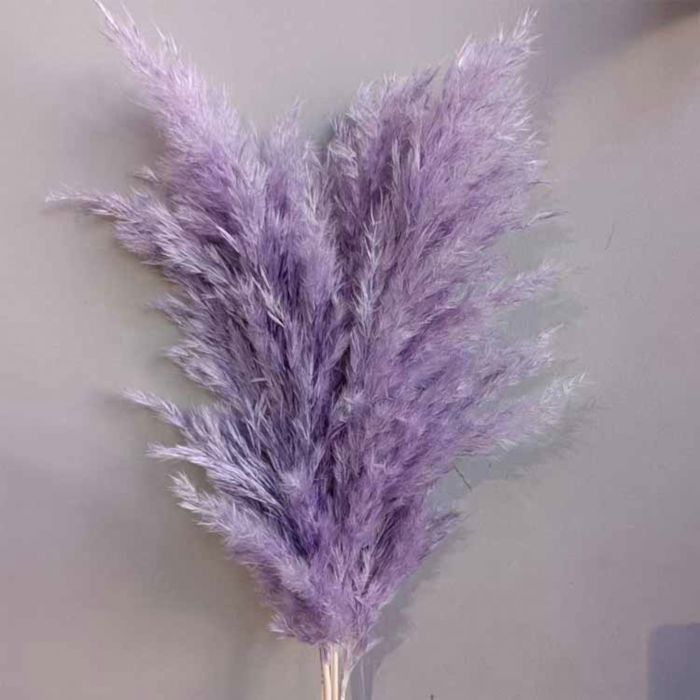 Decorative Dried Tall Grass Stems for Home Decoration and Floral Arrangements, 27.5 Inches