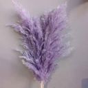 Purple Decorative Dried Tall Grass Stems for Home Decoration and Floral Arrangements, 27.5 Inches