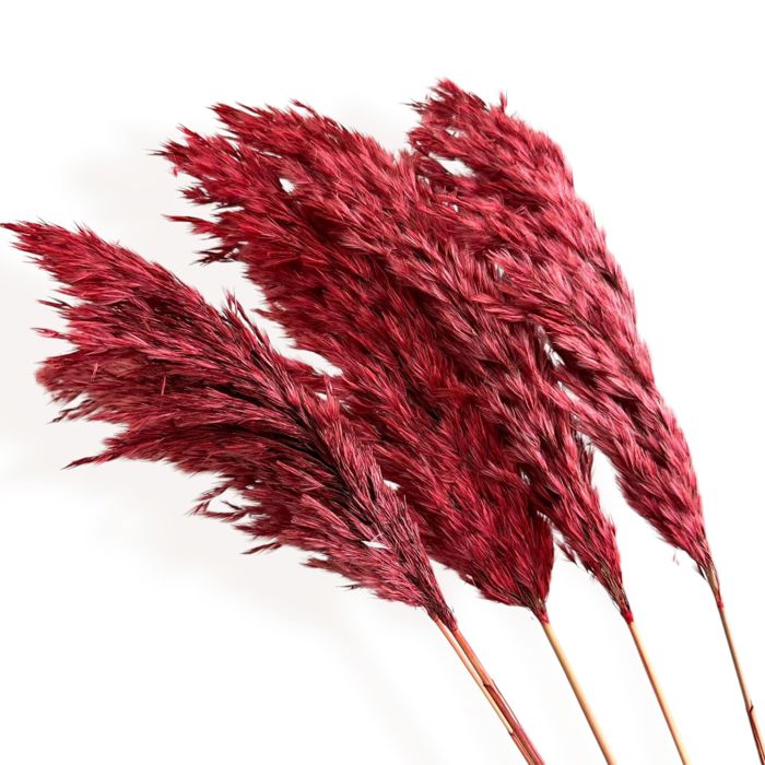 Decorative Dried Tall Grass Stems for Home Decoration and Floral Arrangements, 27.5 Inches