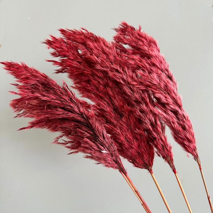 Decorative Dried Tall Grass Stems for Home Decoration and Floral Arrangements, 27.5 Inches