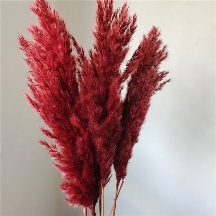 Decorative Dried Tall Grass Stems for Home Decoration and Floral Arrangements, 27.5 Inches