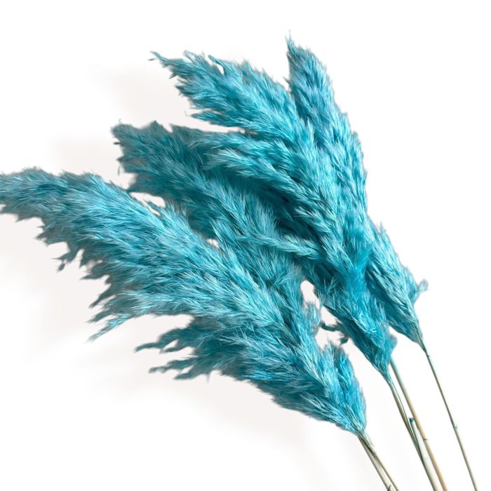 Decorative Dried Tall Grass Stems for Home Decoration and Floral Arrangements, 27.5 Inches