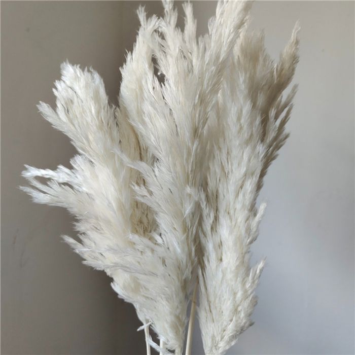 Decorative Dried Tall Grass Stems for Home Decoration and Floral Arrangements, 27.5 Inches