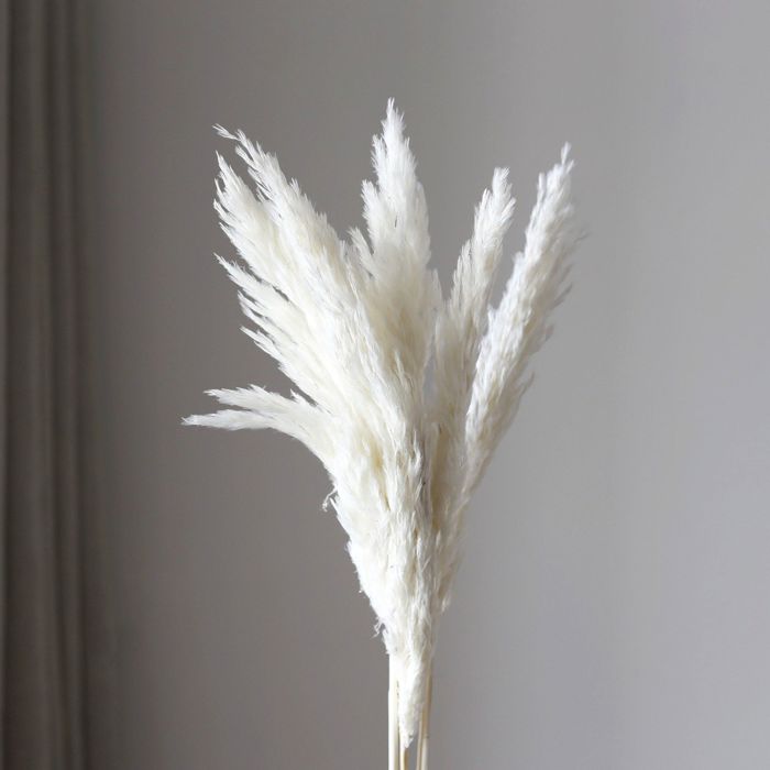 Decorative Dried Tall Grass Stems for Home Decoration and Floral Arrangements, 27.5 Inches