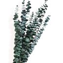 Green Decorative Dried Floral Bouquet with Greenery and Textured Accents for Home Decoration, 17.5 Inches