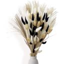  Decorative Dried Bunny Tail Grass Bouquet with Contrasting Textures for Home Decoration, 17.5 Inches