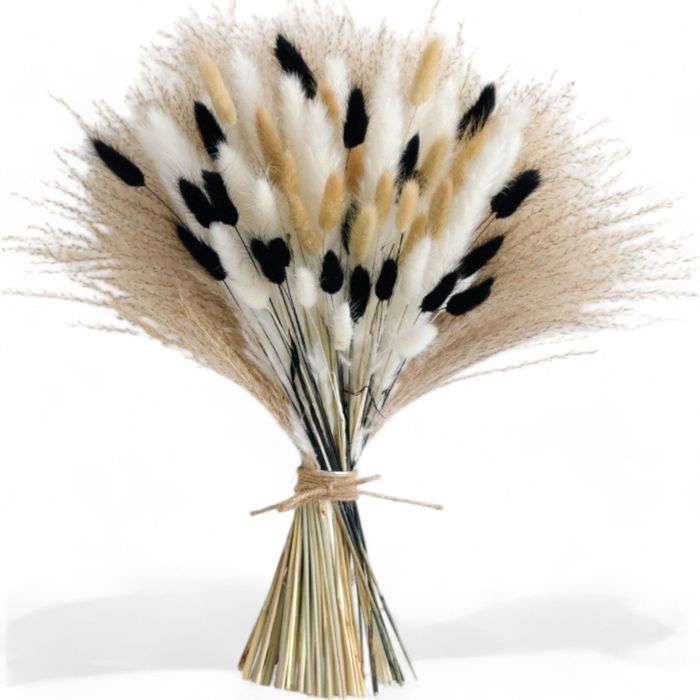 Decorative Dried Bunny Tail Grass Bouquet with Contrasting Textures for Home Decoration, 17.5 Inches