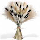 Beige Decorative Dried Bunny Tail Grass Bouquet with Contrasting Textures for Home Decoration, 17.5 Inches